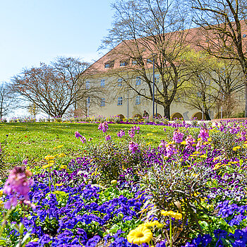 Frühlingsstimmung im Hofgarten. (Stadt Freising) Frühlingsstimmung im Hofgarten. (Stadt Freising)