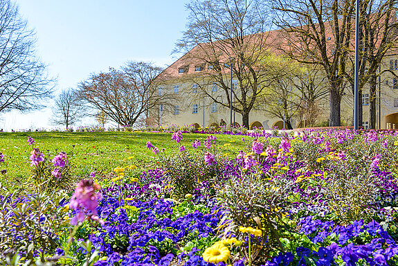 Frühlingsstimmung im Hofgarten. (Stadt Freising) Frühlingsstimmung im Hofgarten. (Stadt Freising)