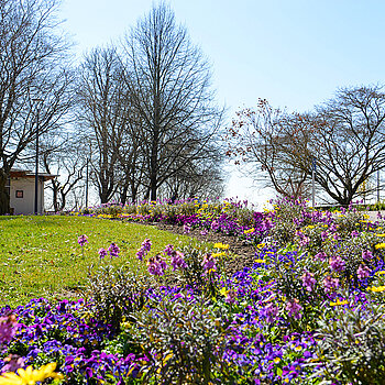 Frühlingsblüher im Hofgarten. (Stadt Freising) Frühlingsblüher im Hofgarten. (Stadt Freising)