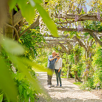 A walk throug shurb gardens A walk throug shurb gardens