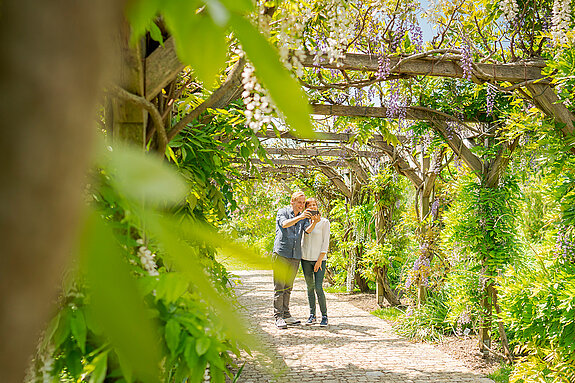 A walk throug shurb gardens A walk throug shurb gardens