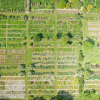 Shrub gardens from above Shrub gardens from above