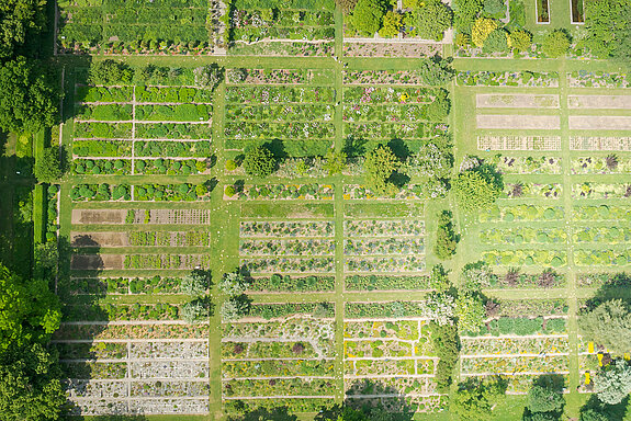 Shrub gardens from above Shrub gardens from above