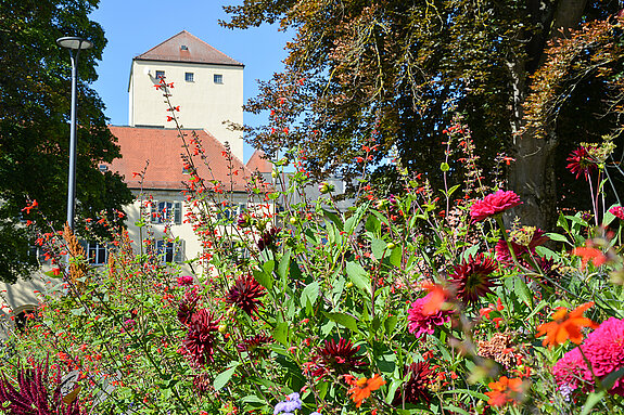 Blühender Hofgarten im September. (Stadt Freising) Blühender Hofgarten im September. (Stadt Freising)