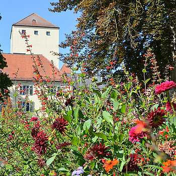 Blühender Hofgarten im September. (Stadt Freising) Blühender Hofgarten im September. (Stadt Freising)