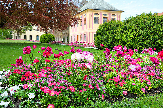 Hofgarten Weihenstephan im Wechselflor, Frühling. (Stadt Freising) Hofgarten Weihenstephan im Wechselflor, Frühling. (Stadt Freising)