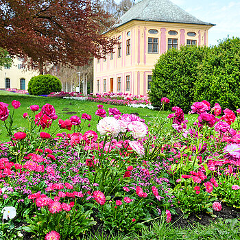 Hofgarten Weihenstephan im Wechselflor, Frühling. (Stadt Freising) Hofgarten Weihenstephan im Wechselflor, Frühling. (Stadt Freising)