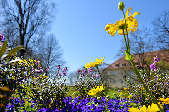 Frühlingsflor im Hofgarten. (Stadt Freising) Frühlingsflor im Hofgarten. (Stadt Freising)
