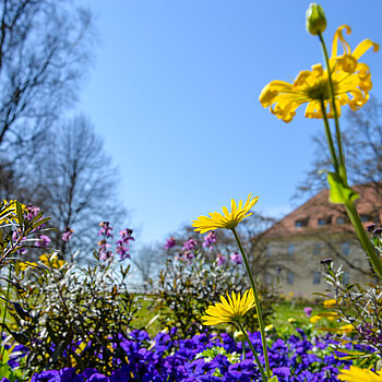 Frühlingsflor im Hofgarten. (Stadt Freising) Frühlingsflor im Hofgarten. (Stadt Freising)